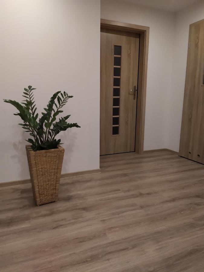 Apartament Kaola Jelenia Góra Buitenkant foto